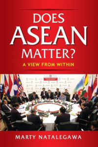 Does ASEAN Matter?: A View from Within