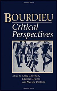Bourdieu: Critical Perspectives